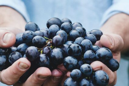 Paula Bosch: Genuss, Störfaktor oder Tänzer? Wein kann alles sein!