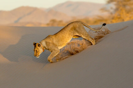 Giesler_Namibia
