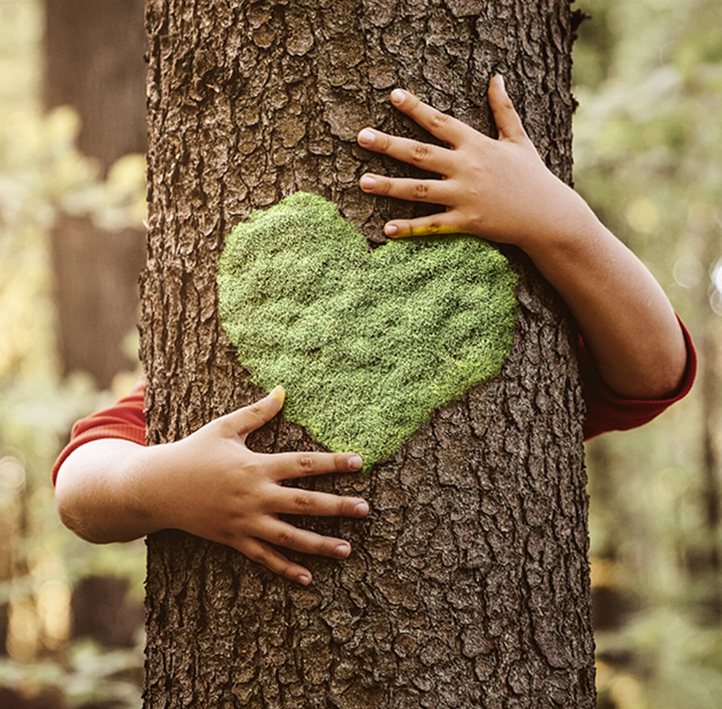 Ein Kind umarmt einen Baum.