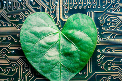 Schmelter_Digital_Green