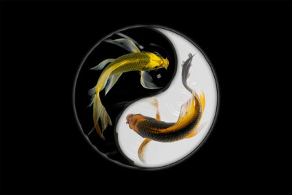Yin und Yang-Zeichen mit zwei Fischen.