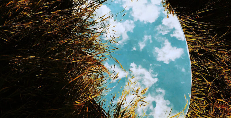 Ein Spiegel reflektiert die Wolken im hohen Gras