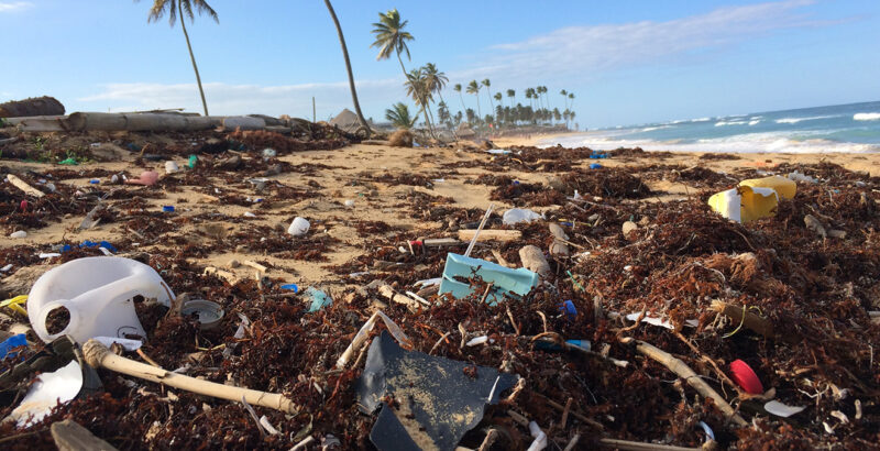Plastikmüll an einem karibischen Strand