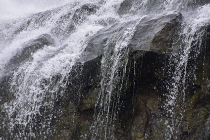 Meiser_Giesler_Wilder_Wasserweg