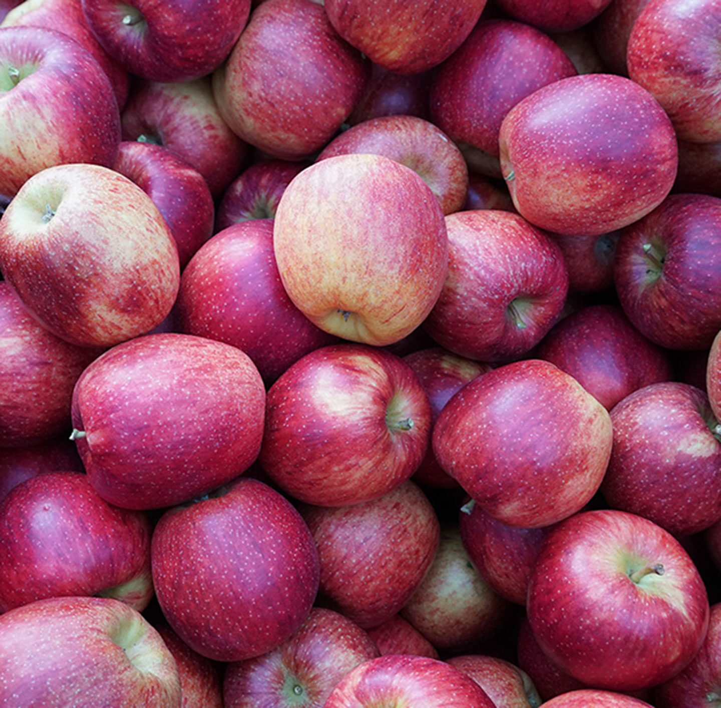 Frumat - Apfeltrester als nachhaltiger Rohstoff