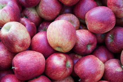 Schmelter_Frumat