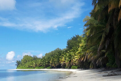 Meiser_Seychellen