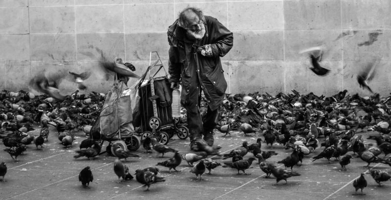 Ein Obdachloser zwischen Tauben