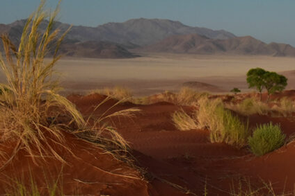 Giesler_Namibia_Arid_Eden