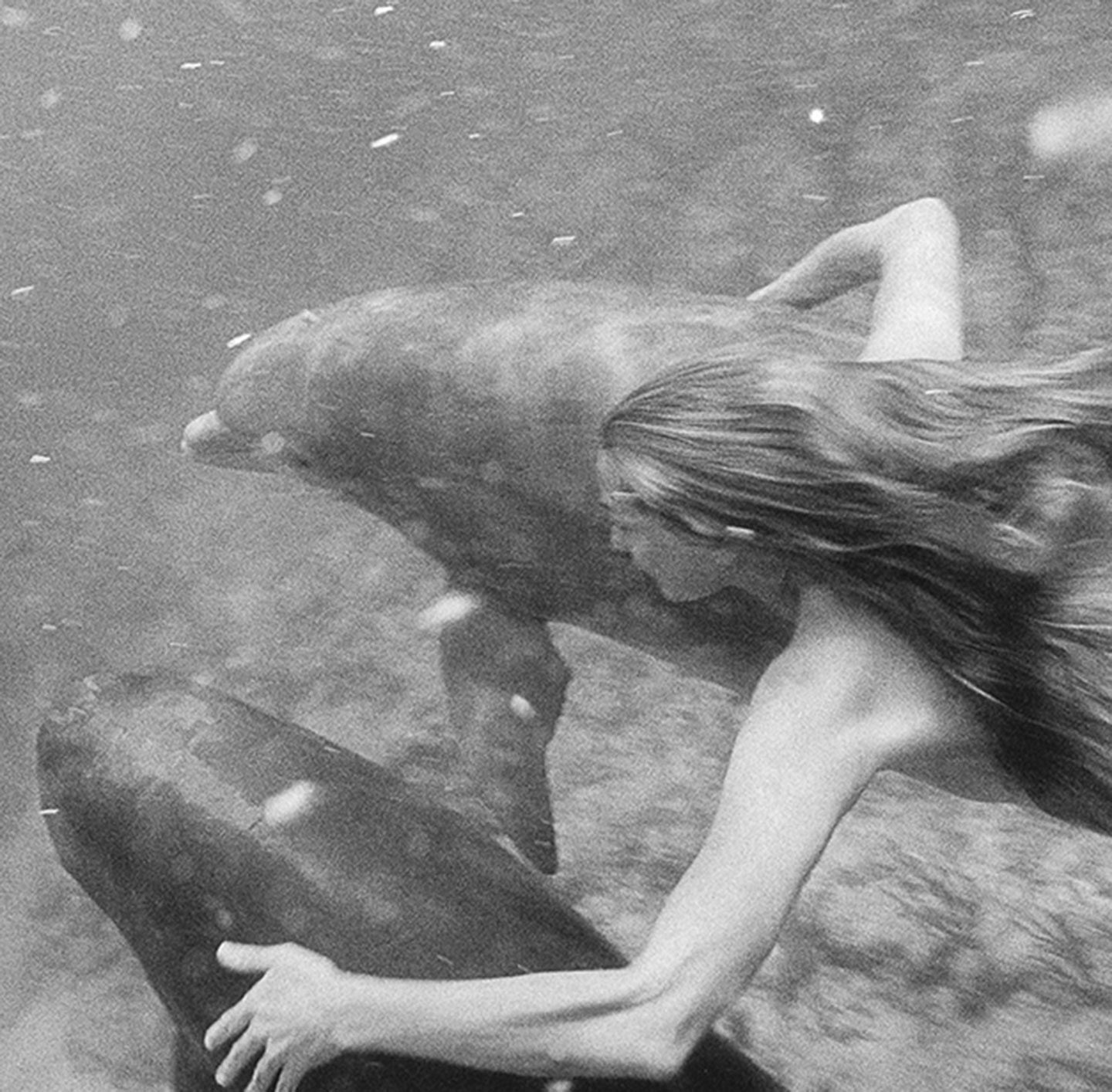 Schwarz-weiß-Bild zeigt Tatjana Patitz mit Delphinen.