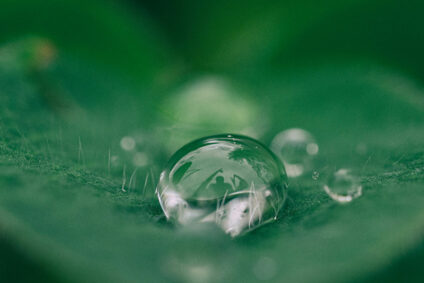Lang_Wasser