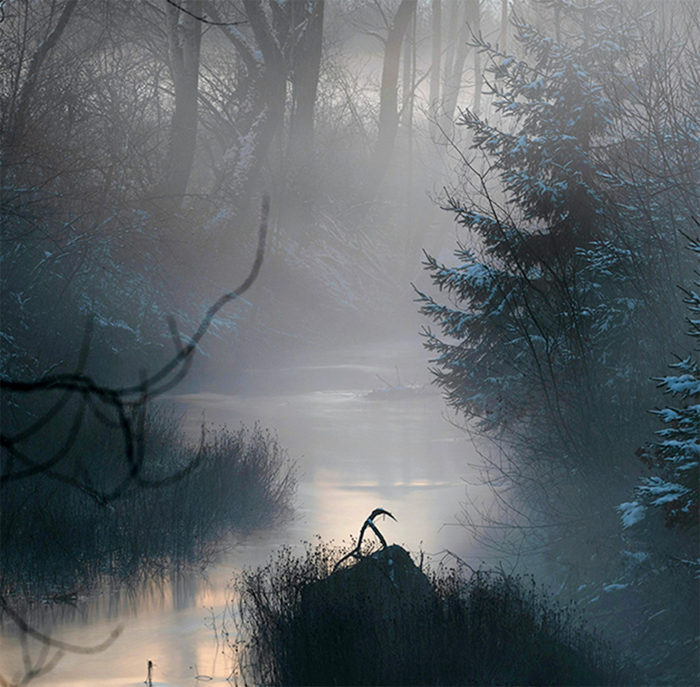 Fluss im Wald mit Nebel