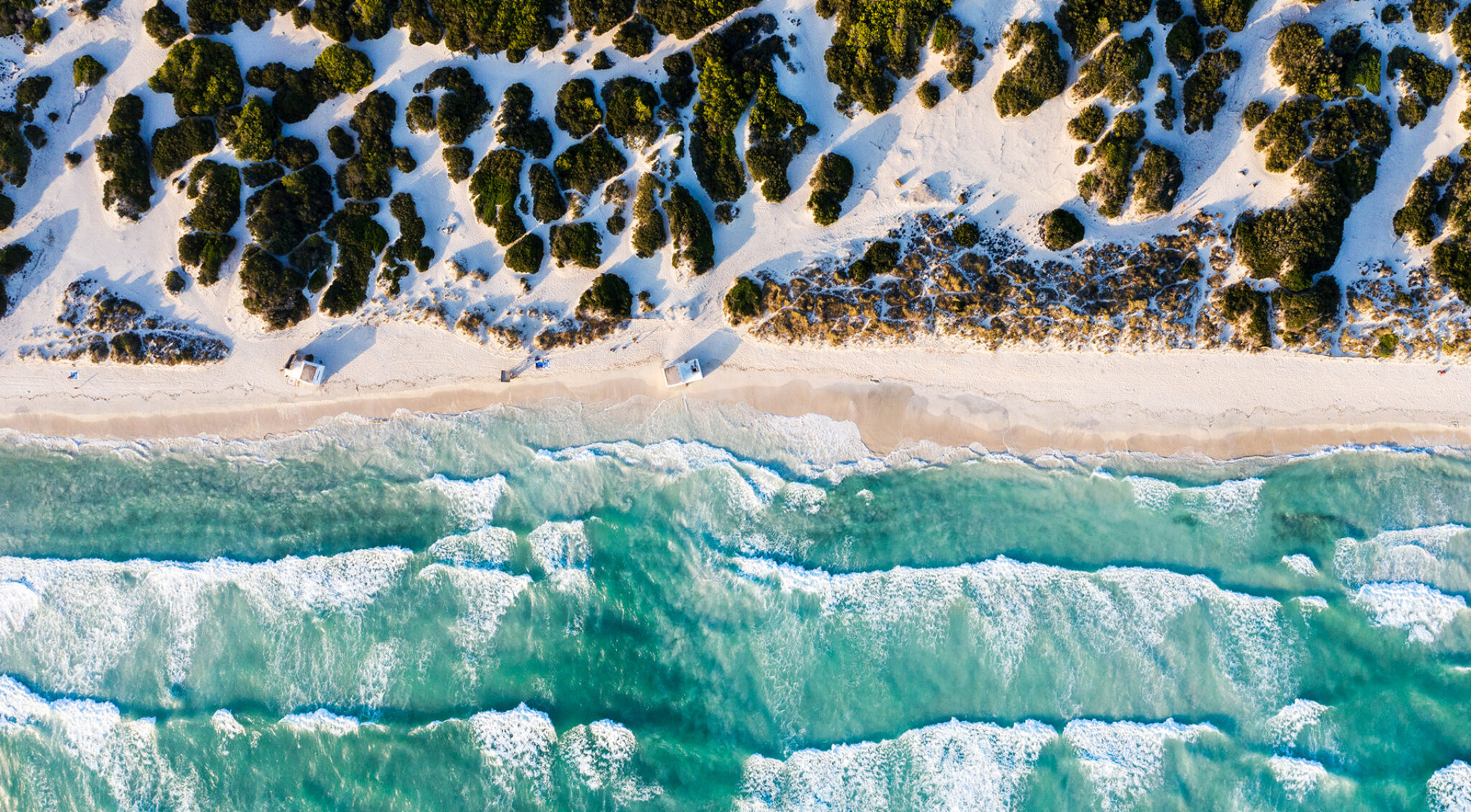 Blick aus der Vogelperspektive auf einen Abschnitt Meer, in dem sich die Gischt bricht und Strand mit grünen Büschen