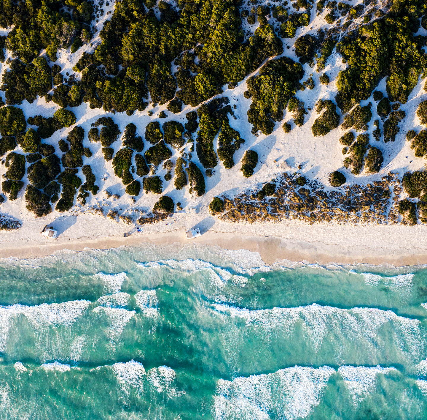 Blick aus der Vogelperspektive auf einen Abschnitt Meer, in dem sich die Gischt bricht und Strand mit grünen Büschen