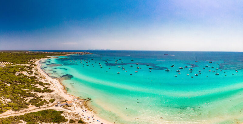 Blick aus der Vogelperspektive auf einen Abschnitt Meer, in dem sich die Gischt bricht und Strand mit grünen Büschen