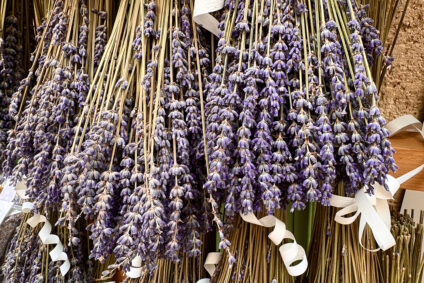 getrockneter Lavendel