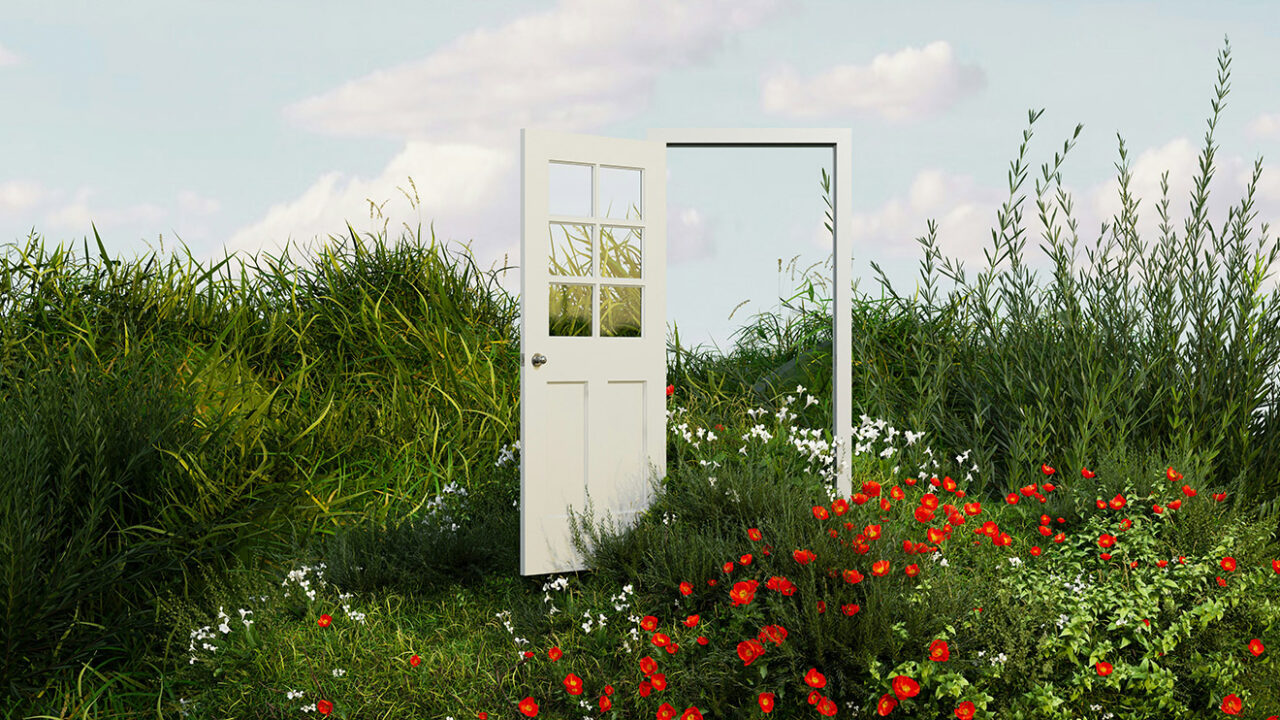 Weiße Tür mit in sechs Teile unterteiltem Fenster samt Türrahmen steht auf einer Wiese mit hohem grünen Gras und roten Blumen.