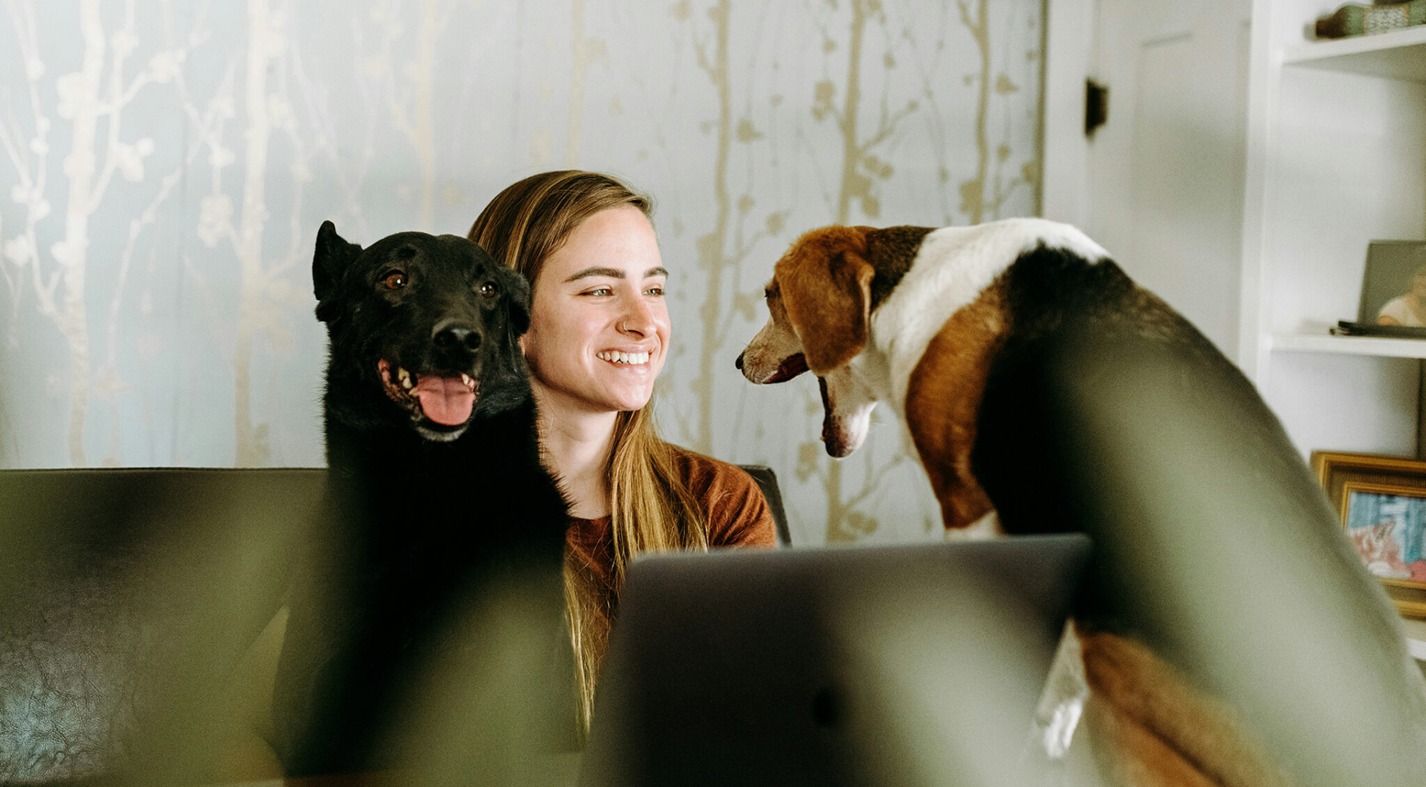 Junge Frau lächelt zwei Hunden zu – Symbol für Kommunikation und gegenseitiges Verständnis.