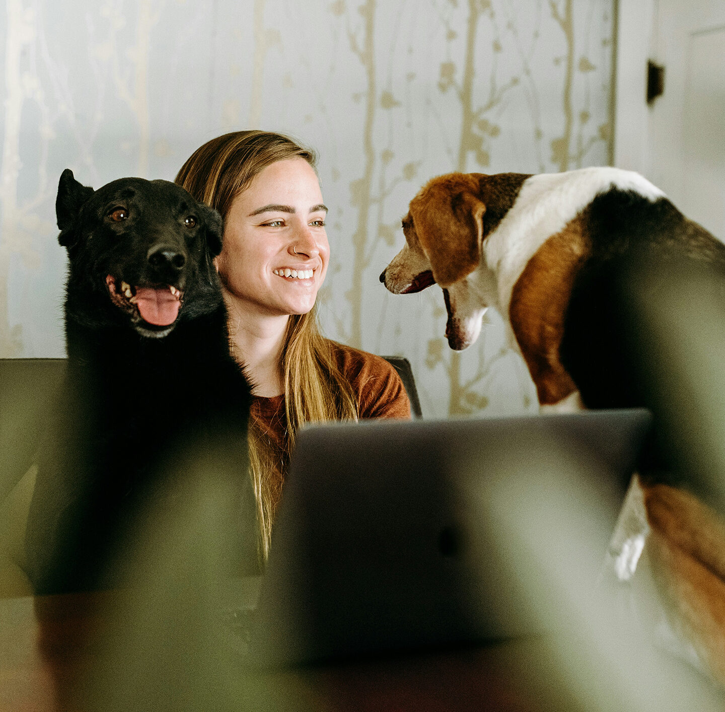 Junge Frau lächelt zwei Hunden zu – Symbol für Kommunikation und gegenseitiges Verständnis.