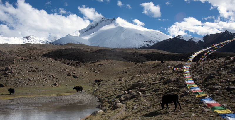 Die Gipfel Kang Yatse I und II mit einer Höhe von 6496m und 6250m