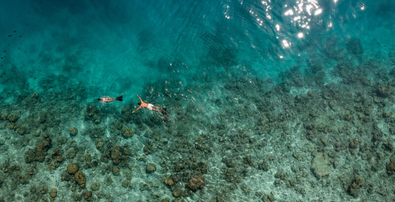 Luftaufnahme eines ausgedehnten Korallenriffs mit unterschiedlichen Blau- und Grüntönen und zwei Schnorchlern.