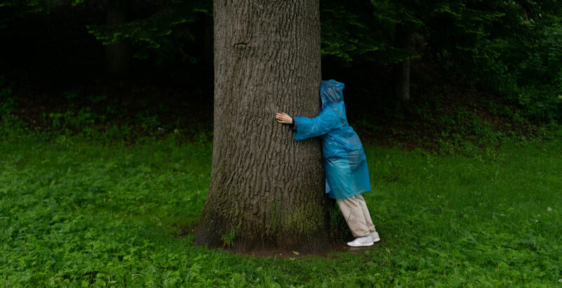 Person, deren Gesicht nicht sichtbar ist, umarmt einen dicken Baumstamm auf einer grünen Wiese.