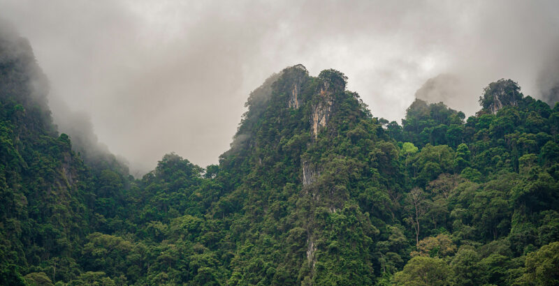 Dicht bewaldete Dschungellandschaft mit grünen Bergrücken unter bewölktem Himmel.