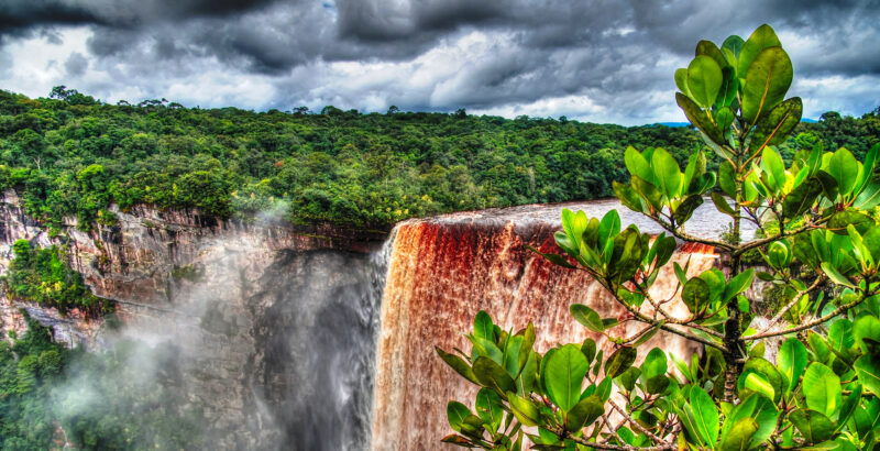 Wasserfall, der über eine Felswand stürzt, mit großer tropischer Pflanze im Vordergrund.