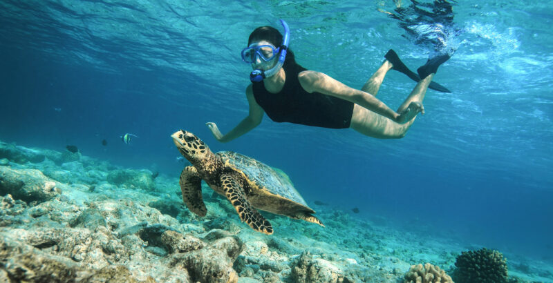 Schnorchelnde Frau mit einer Meeresschildkröte.