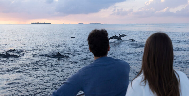 Mann und Frau blicken in Abendstimmung auf das Meer, aus dem Delphine springen.