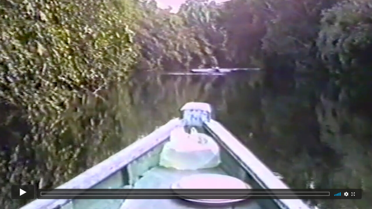 Bug eines Bootes, das durch einen von dichtem Wald gesäumten Fluss im Dschungel fährt.