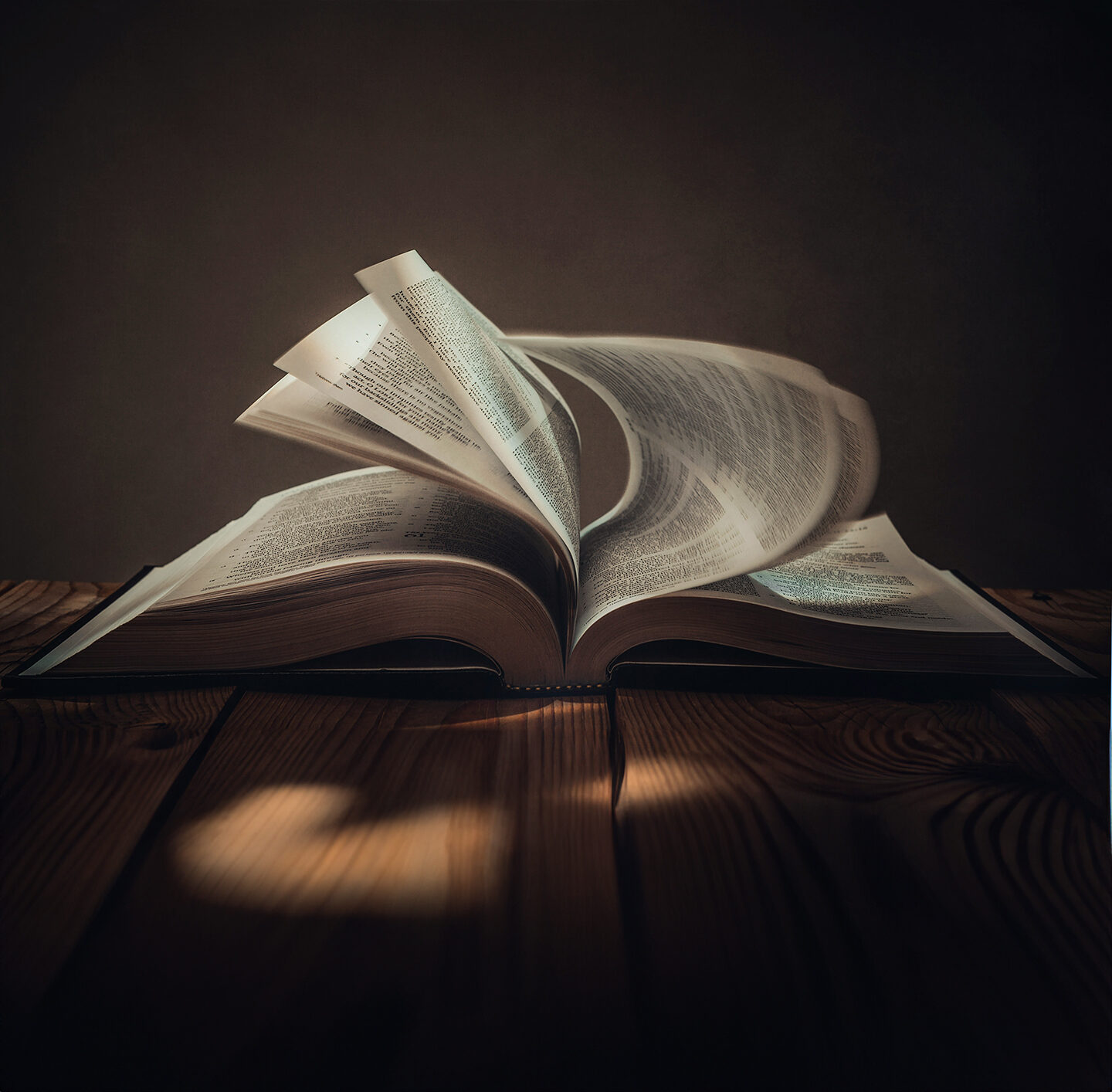 Aufgeschlagenes Buch mit leicht gewellten Seiten in stimmungsvoller Beleuchtung.