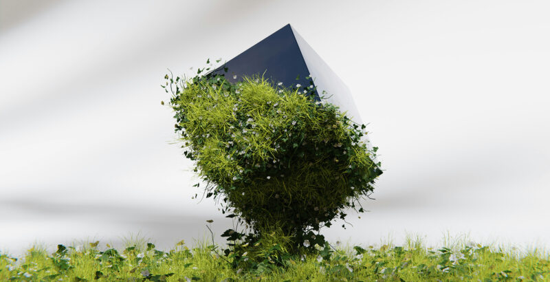 Kleines Haus, aus dessen Dach ein grüner Baum wächst, vor hellem Himmel.