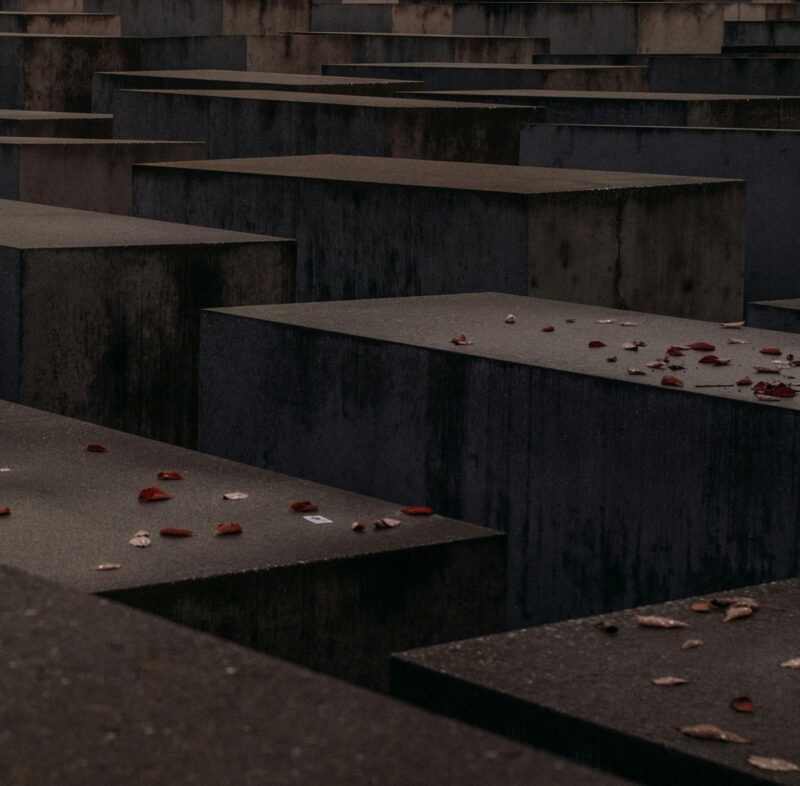 Dunkle Betonquader mit einzelnen Blütenblättern in dunklem Ambiente.