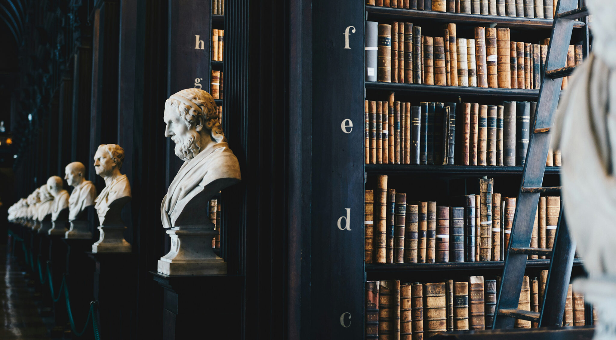 Blick in eine Bibliothek mit hohen Regalen und Büchern, im Vordergrund eine klassische Büste.