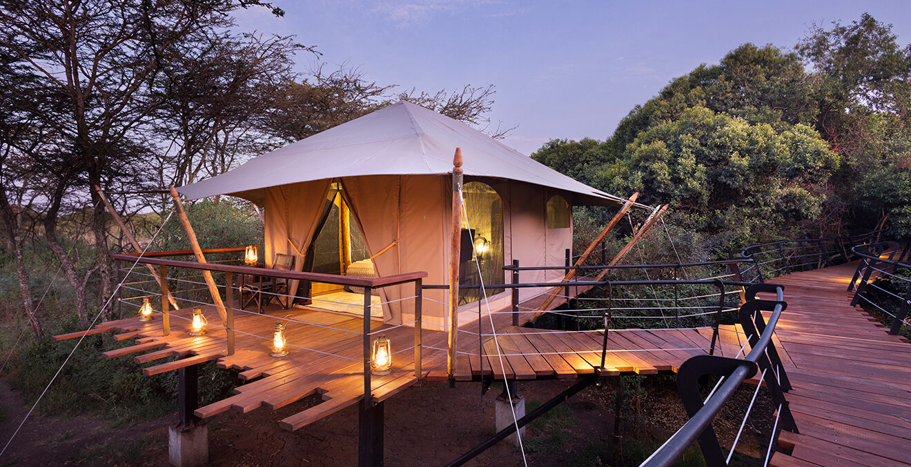 Zelt des Great Plains-MaraTotoTreeCamp auf einem Steg der auf Stelzen steht und von Lichtern beleuchtet wird.