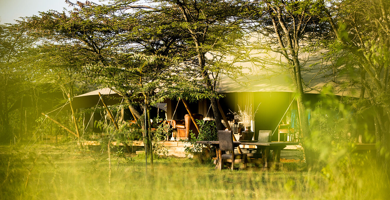Weitwinkelaufnahme einer Lodge mit Reetdach inmitten einer grünen Savannenlandschaft.