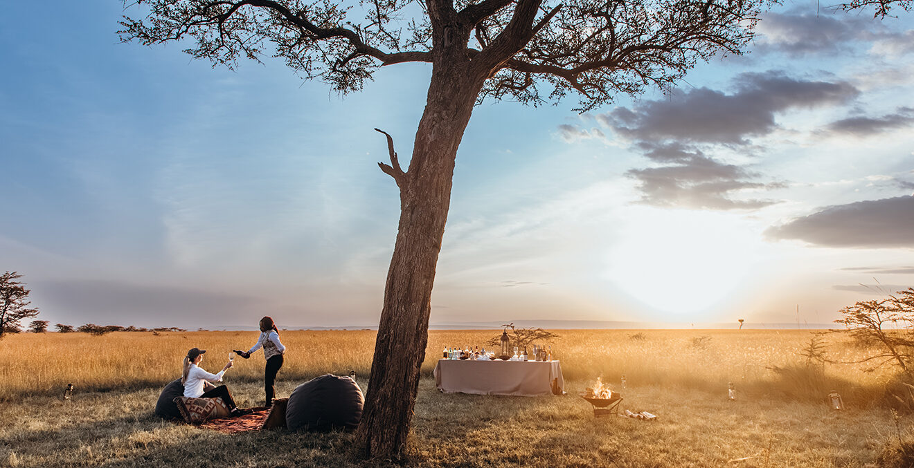 Picknick unter einem Baum in der afrikanischen Sonne.