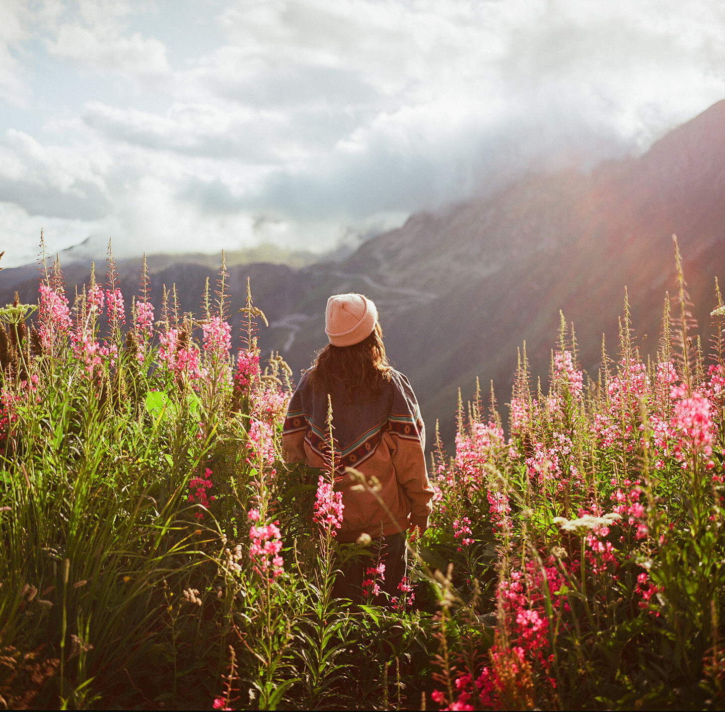 Person mit Mütze sitzt auf einer Wiese mit pinken Blumen und blickt über eine weite Berglandschaft.