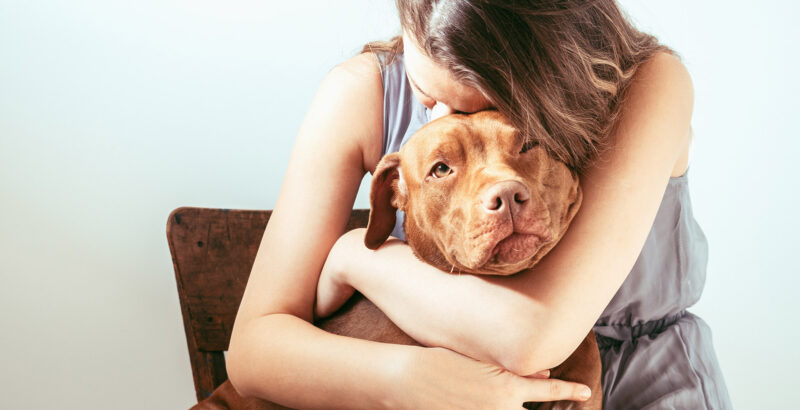 Eine Frau hält einen braunen Hund im Arm; der Hund legt den Kopf auf den Armen der Person ab.