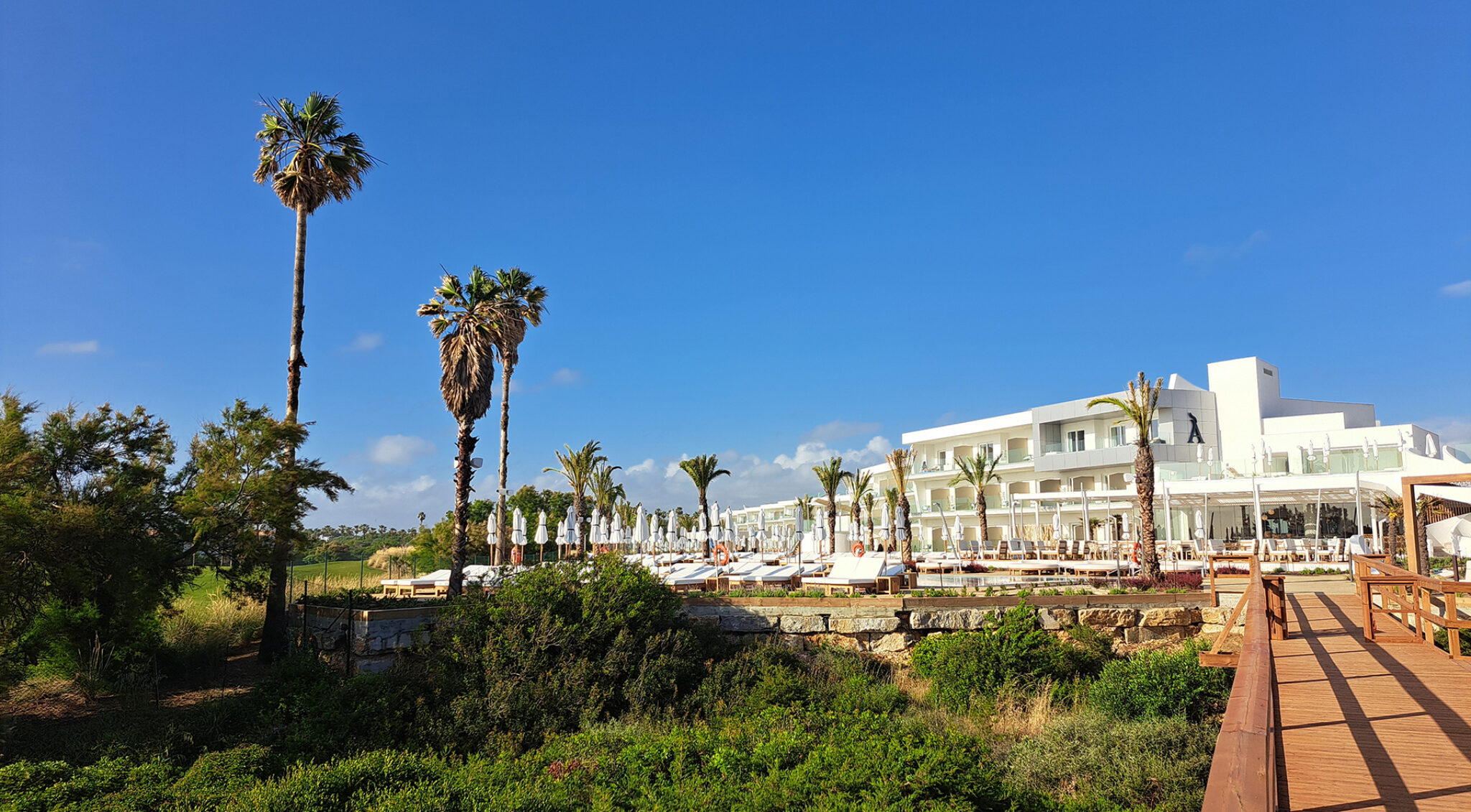 Panoramaaufnahme eines weißen Hotelgebäudes mit Palmen vor tiefblauem Himmel; links stehen hohe Palmen auf einer Dünenlandschaft.
