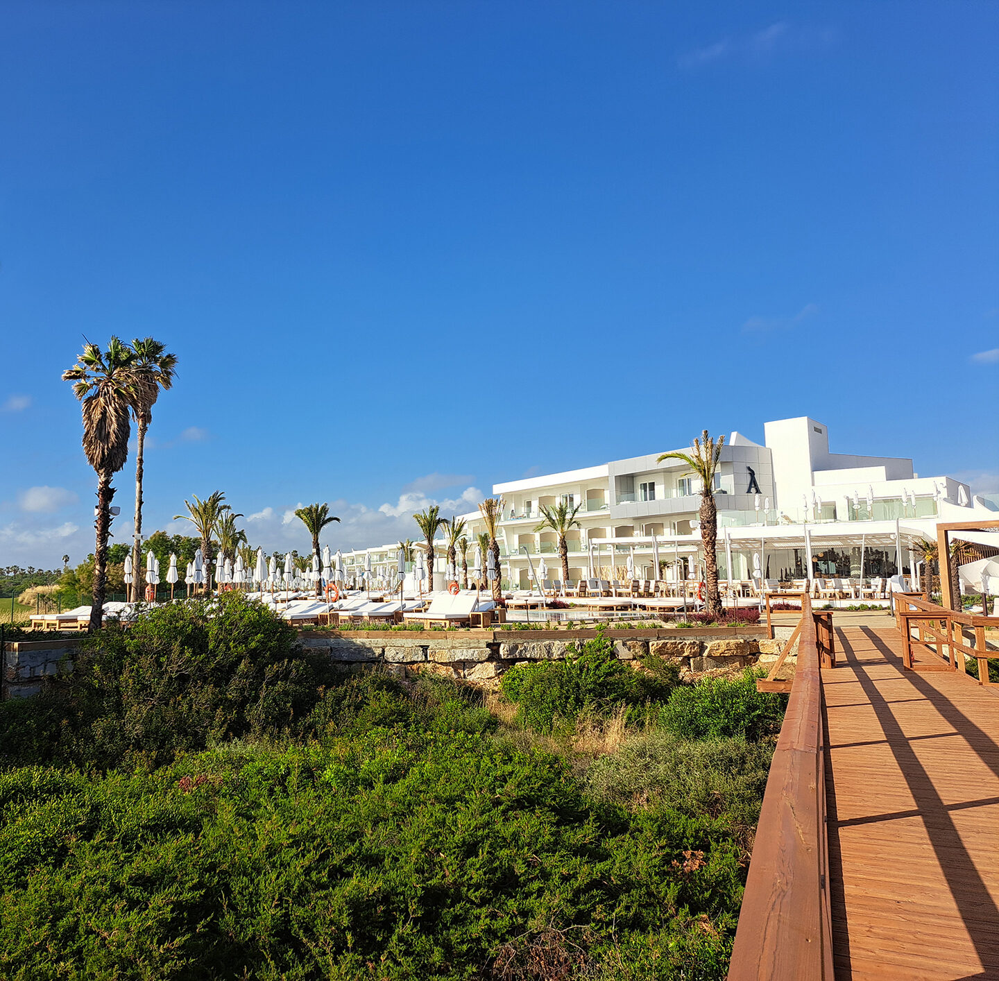 Panoramaaufnahme eines weißen Hotelgebäudes mit Palmen vor tiefblauem Himmel; links stehen hohe Palmen auf einer Dünenlandschaft.