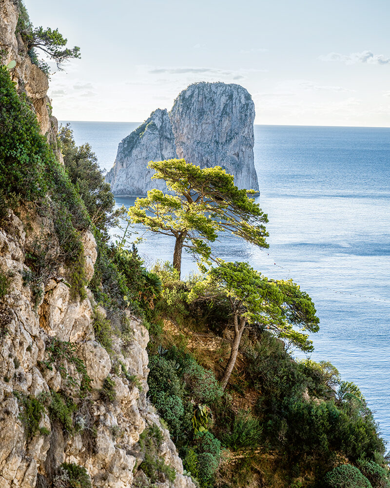 Blick über felsige Küste mit grüner Vegetation auf das Meer; im Hintergrund erhebt sich eine steile Felsformation.