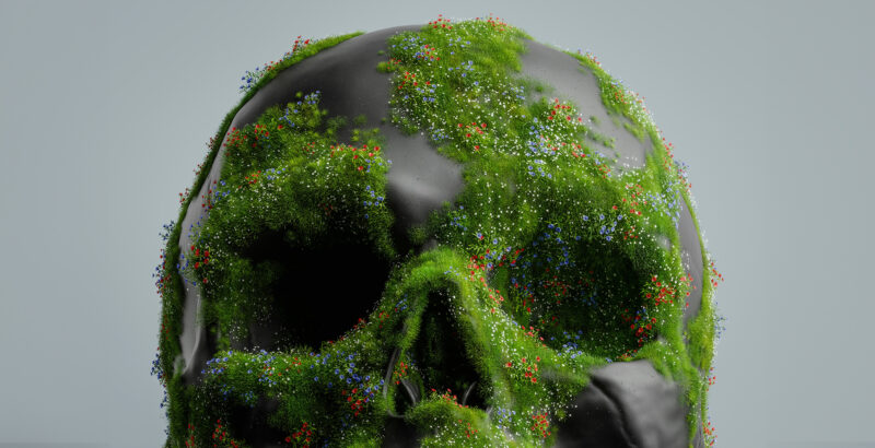 Digitale Illustration eines menschlichen Schädels. Die Kopfform besteht aus dichtem grünem Moos und Gras; innerhalb des Kopfes befinden sich dunkle, höhlenartige Hohlräume vor hellem Hintergrund.