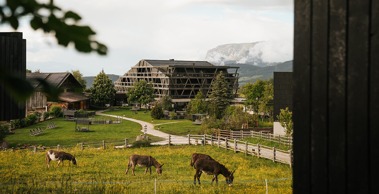 Aussenansich des Green-Luxury-Hotels Pfoesl. Im Vordergrund grasen Esel.