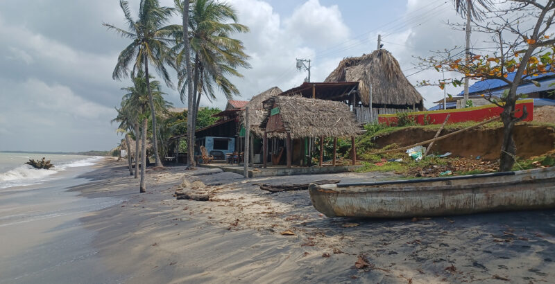 Breite Strandszene mit feuchtem dunklem Sand, hohen Palmen und einfachen offenen Hütten. Rechts liegen mehrere lange, schmale, bunt bemalte Fischerboote auf dem Strand.