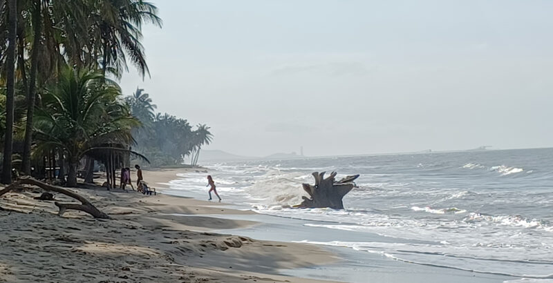 Weiter, nahezu menschenleerer Sandstrand mit einer Reihe hoher Palmen auf der linken Seite. Rechts rollen flache Wellen des graublauen Meeres an das Ufer; der Himmel ist bedeckt.