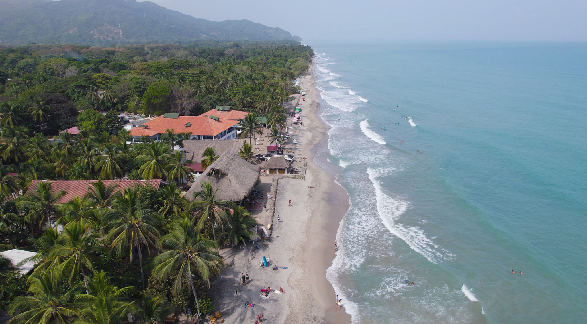 Luftaufnahme der Karibikküste bei Palomino: dichter grüner Küstenwald, einzelne Häuser und Wege, ein breiter heller Sandstrand und türkisblaues Meer mit langen weißen Wellenlinien.