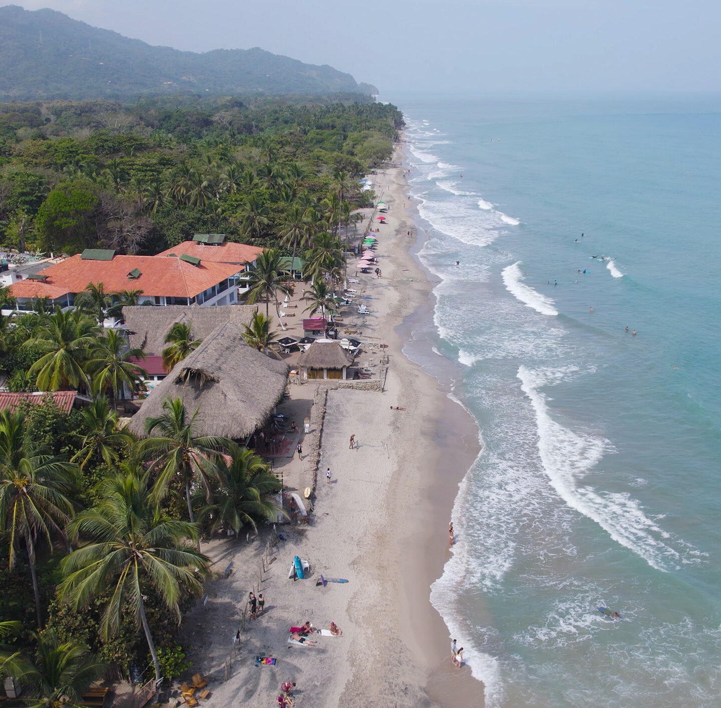 Luftaufnahme der Karibikküste bei Palomino: dichter grüner Küstenwald, einzelne Häuser und Wege, ein breiter heller Sandstrand und türkisblaues Meer mit langen weißen Wellenlinien.