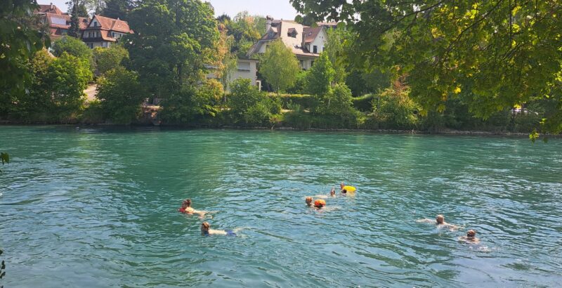 Menschen schwimmen in der türkisfarbenen Aare vor dem grünen Ufer in Bern